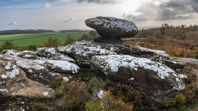 An autumnal afternoon stood in North Moor looking at Mushroom Rocks